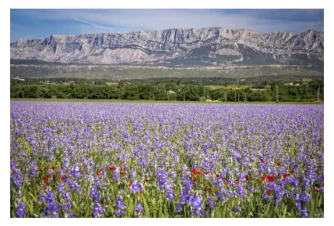 Aix-En-Provence, Cosy Studio Proche Toutes Commodites, Linges Fournis Exterior photo